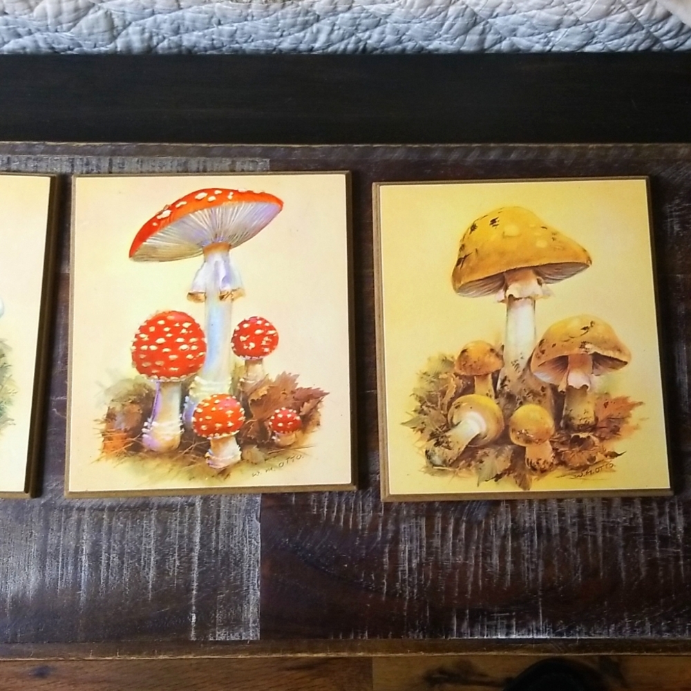 Vintage W.M. Otto MCM 1970's Mushroom Wood Plaques-Set of 4 - Picture 9 of 9